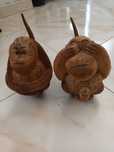 Casal de cocos verdadeiros