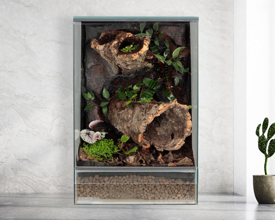 Terrarium 40x40x60 gekon