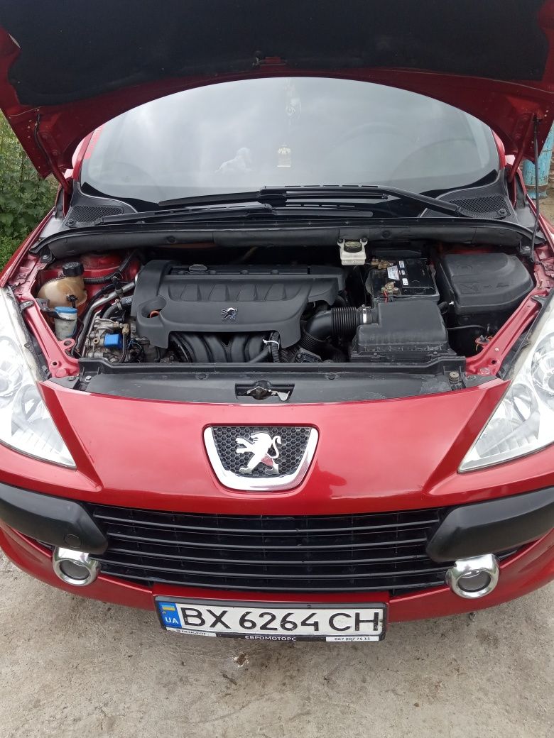 Пижик 307св 2006