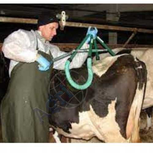 Przyrząd / Podnośnik do podnoszenia krów i byków 800 KG KERBL