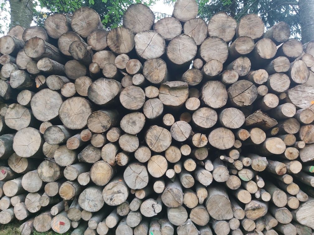 Drewno kominkowe suche liściaste i iglaste od 250