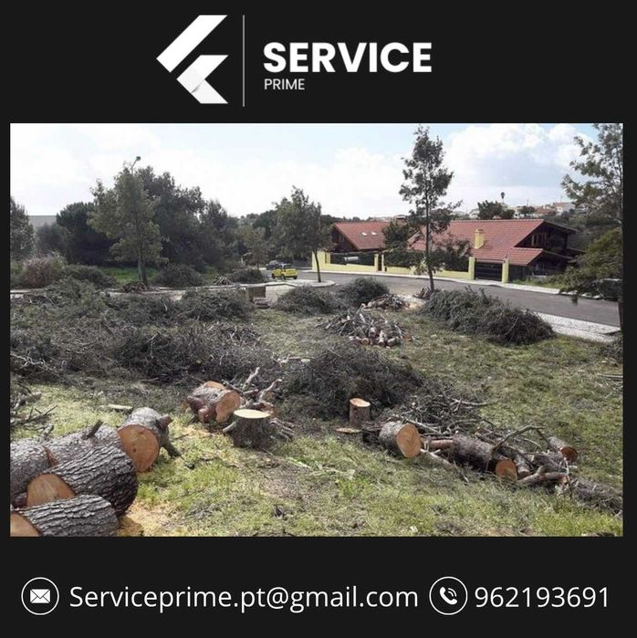 Limpeza e Corte de Terrenos , Mato , Árvores e Silvas | Service Prime