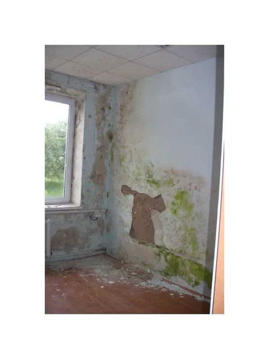 Нежитлові будівлі, 2 826,5 кв. м, вул. Прикарпатська, 32