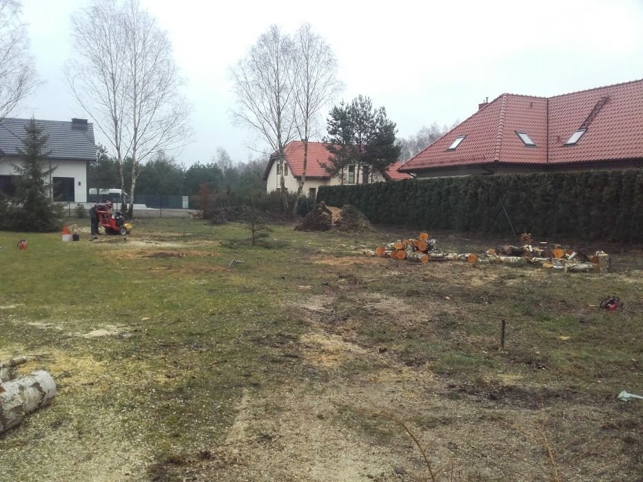 Cięcie przycinanie wycinka drzew Pabianice Łódź Aleksandrów Ksawerów