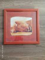 Obraz dwa tygrysy.38x38cm kolor rudy.