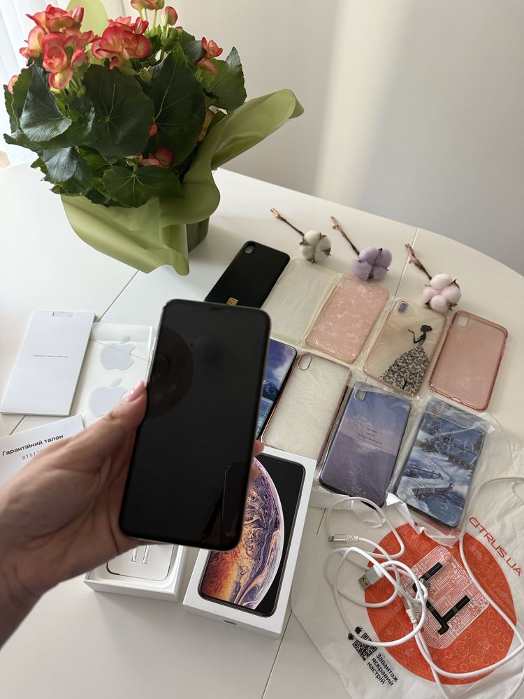 Продам свій iPhone XS Max 256 ГБ (Gold) — повний комплект + подарунки