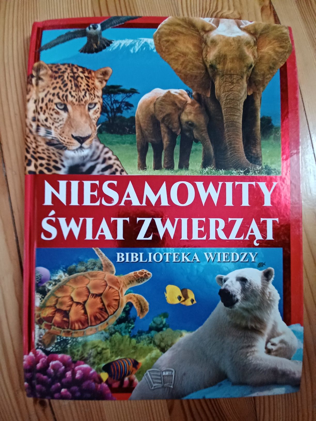 Niesamowity świat zwierząt