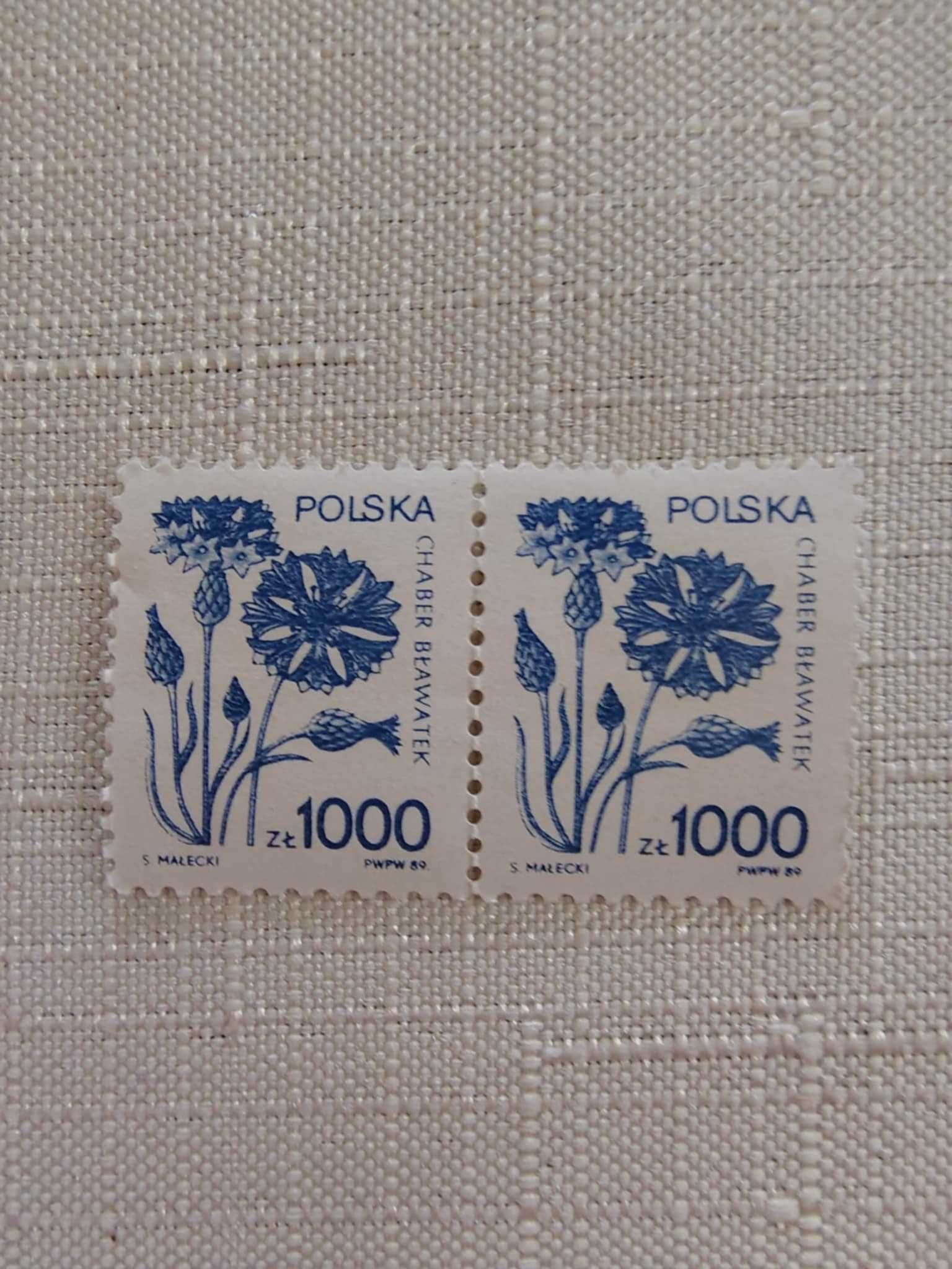 Stare znaczki pocztowe: Polska 3500 zł z orłem z 1919