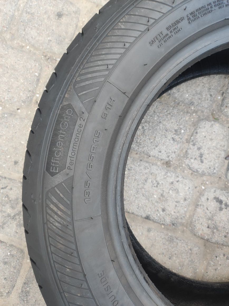 195.65.15 jedna opona Goodyear EfficientGrip Performance 2