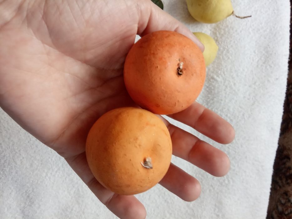 Советские елочные игрушки.