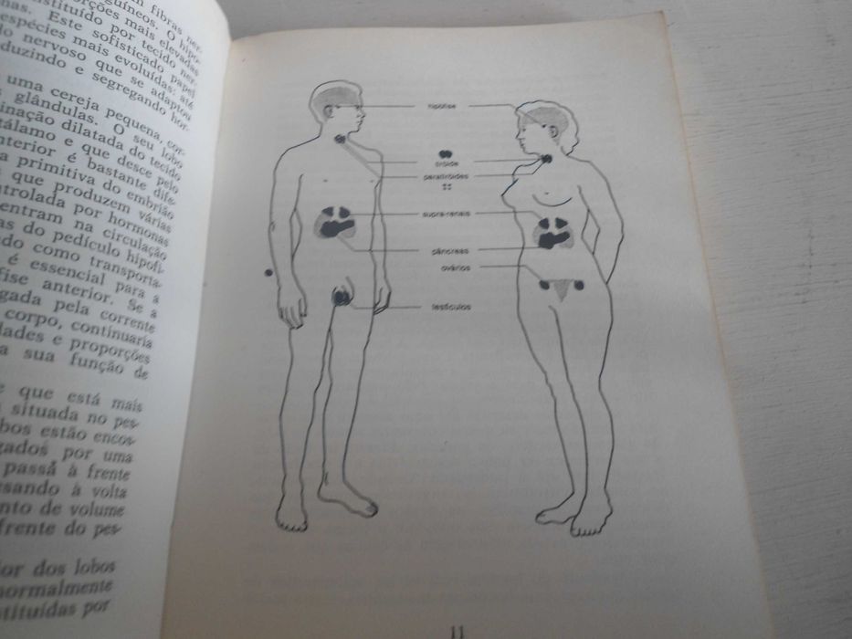As Hormonas e a Saúde por A. Stuart Mason