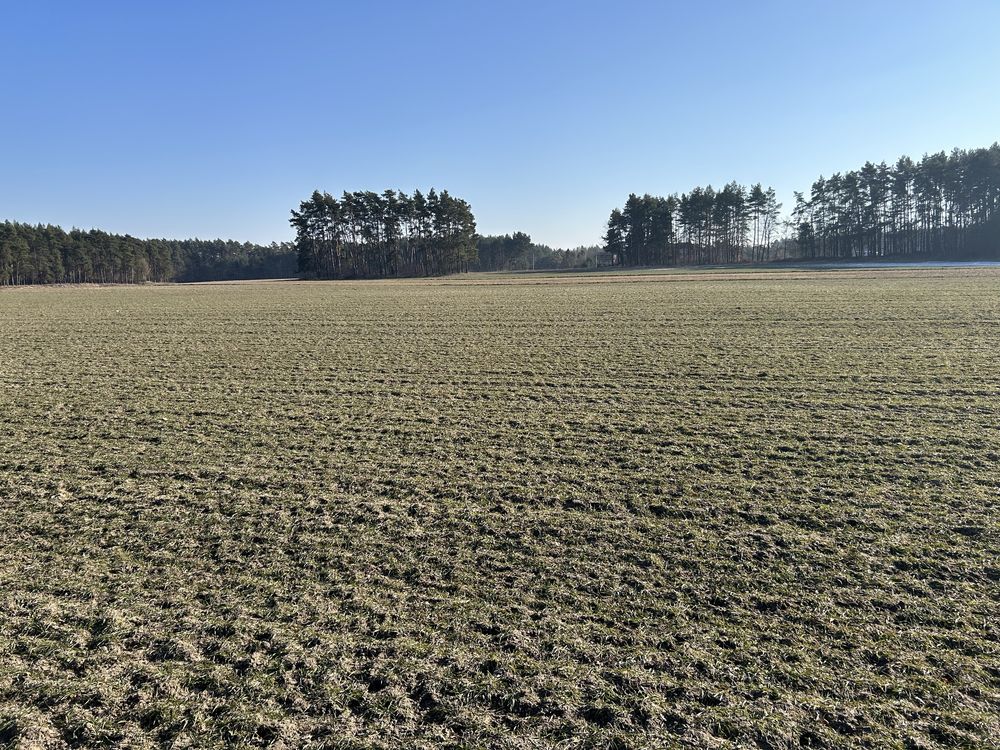 Działka /pole na sprzedaż 5,2 ha.wraz z lasem