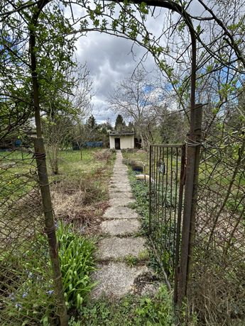 Dzialka, ogródek działkowy, Sosnowiec Pogoń