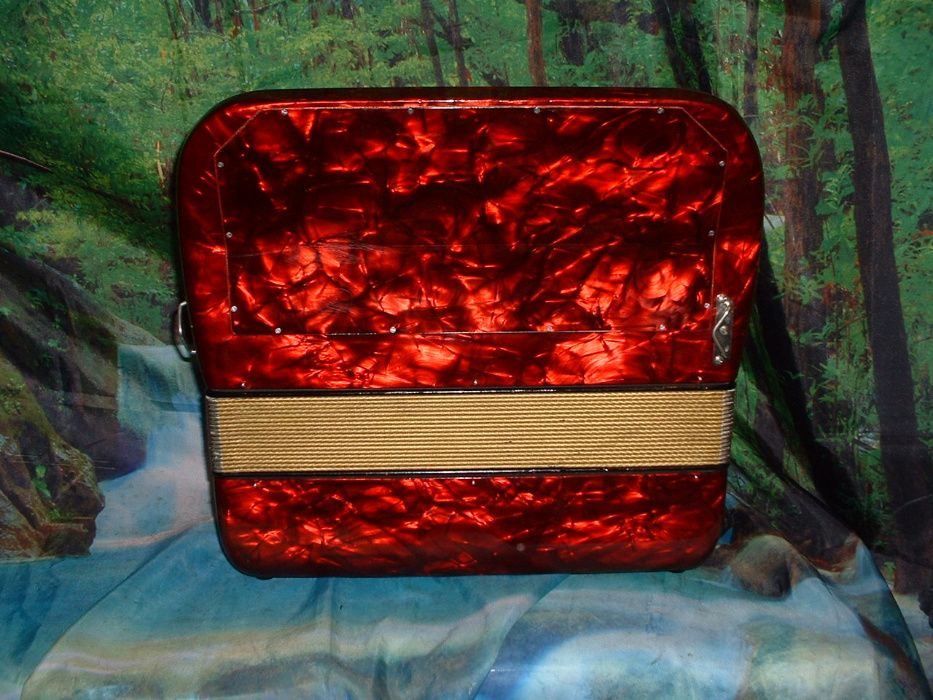 Avenda Acordeao R 612