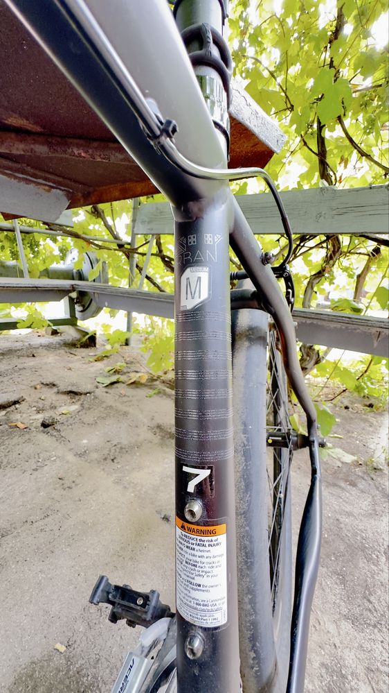 Cannondale fatty