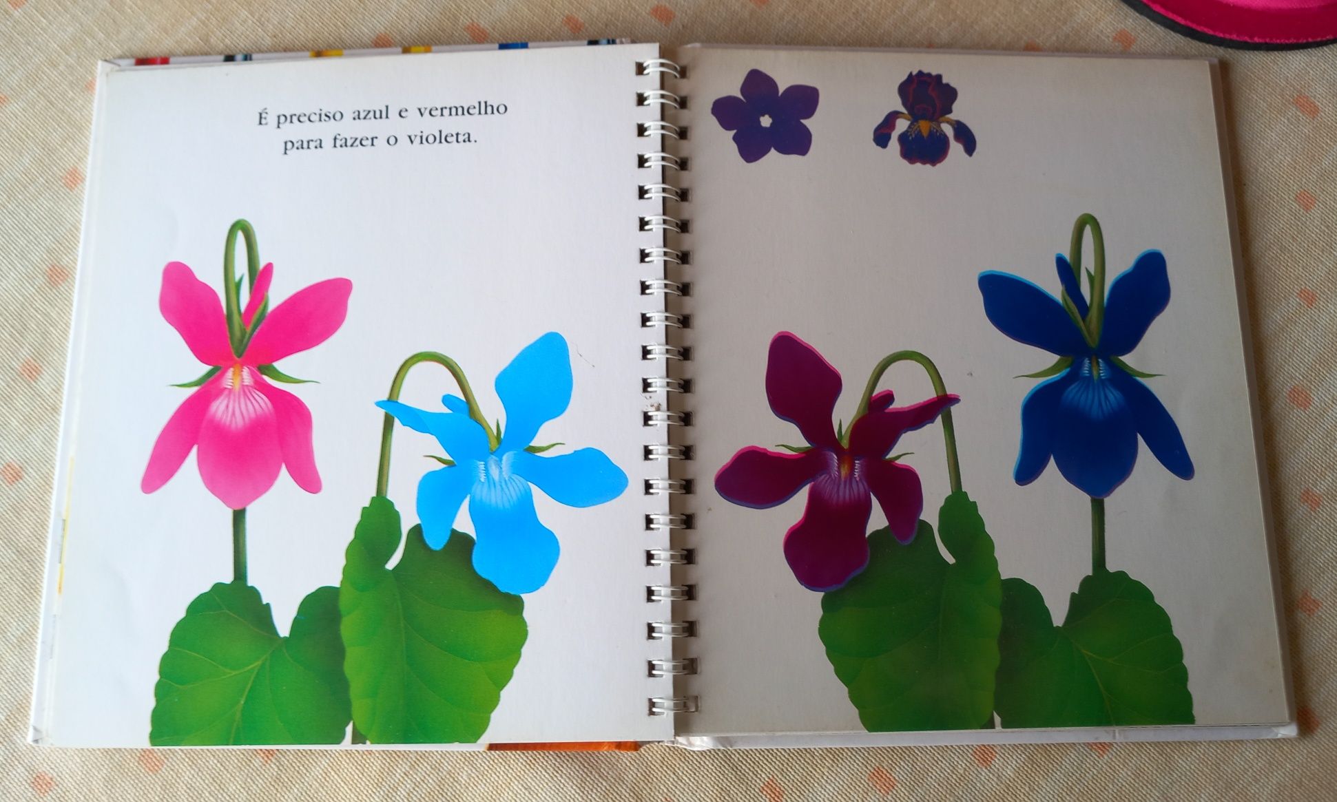 Livro ilustrado "As Cores"