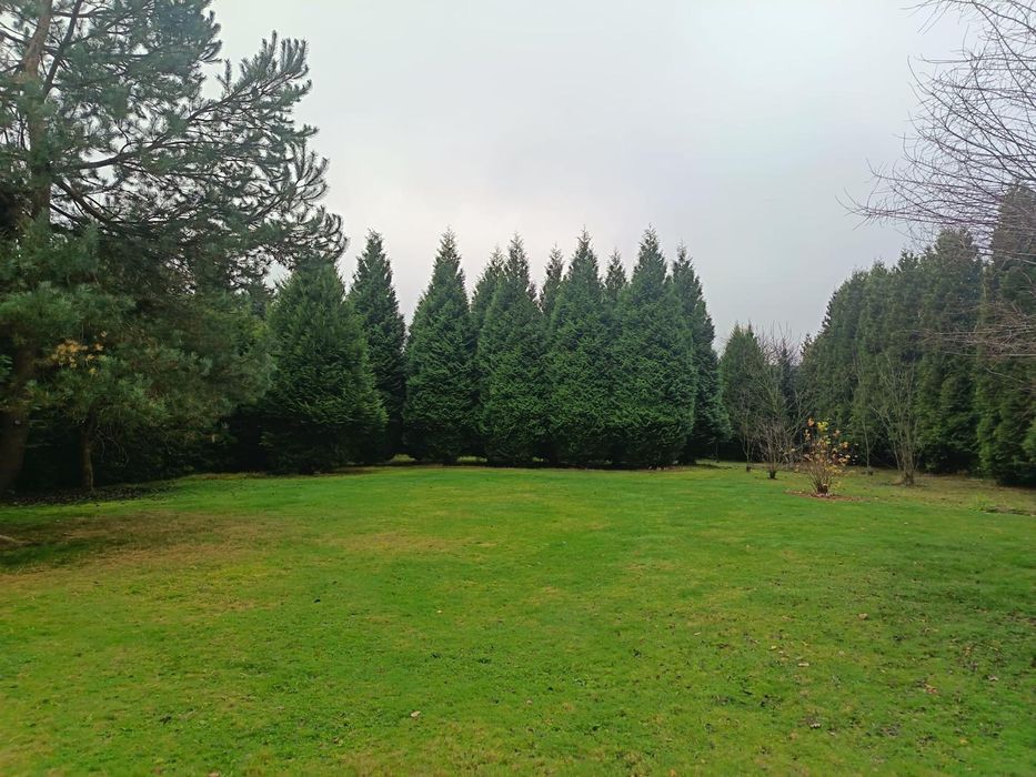 Działka  8 arów Zabłocie gmina Biskupice