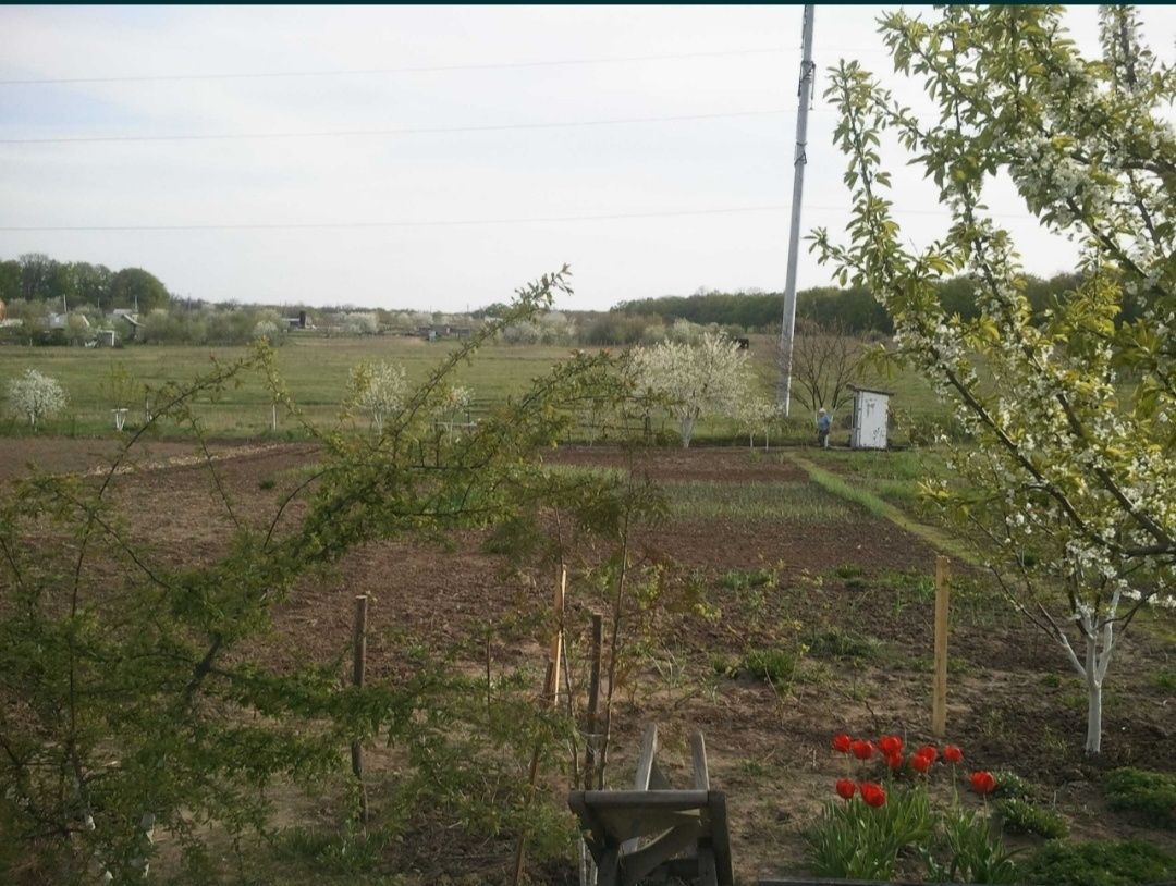Продам дачный участок