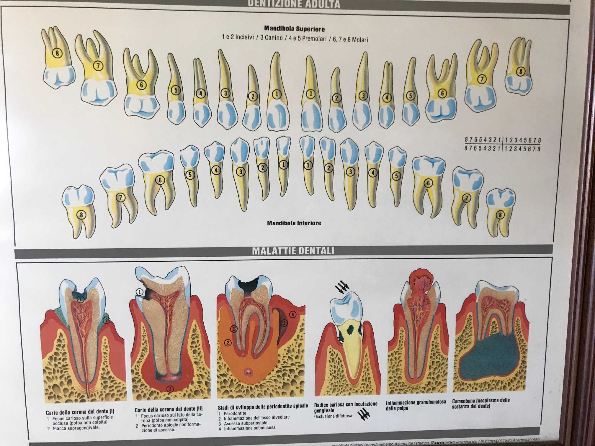 Quadros de Medicina Dentária