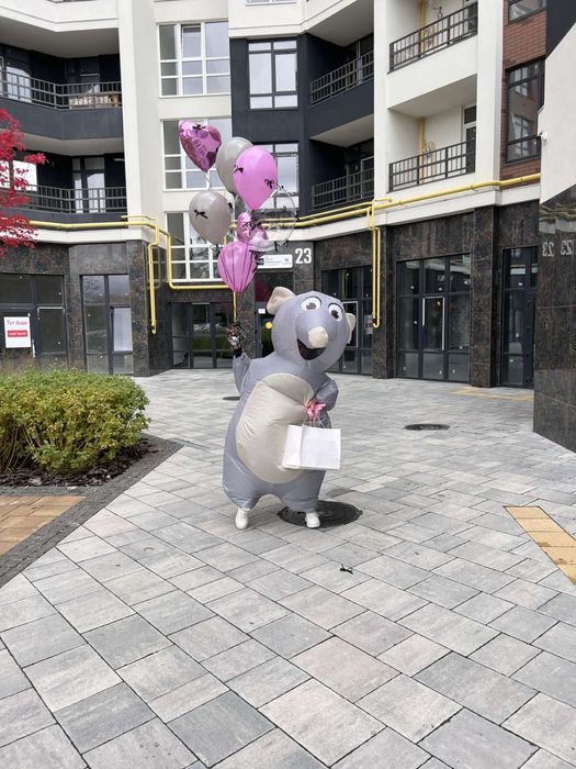 Прокат/оренда надувних костюмів, великий асортимент