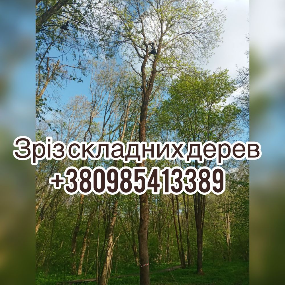 Зріз, обріз, спилювання, складних дерев. Утеплення квартир