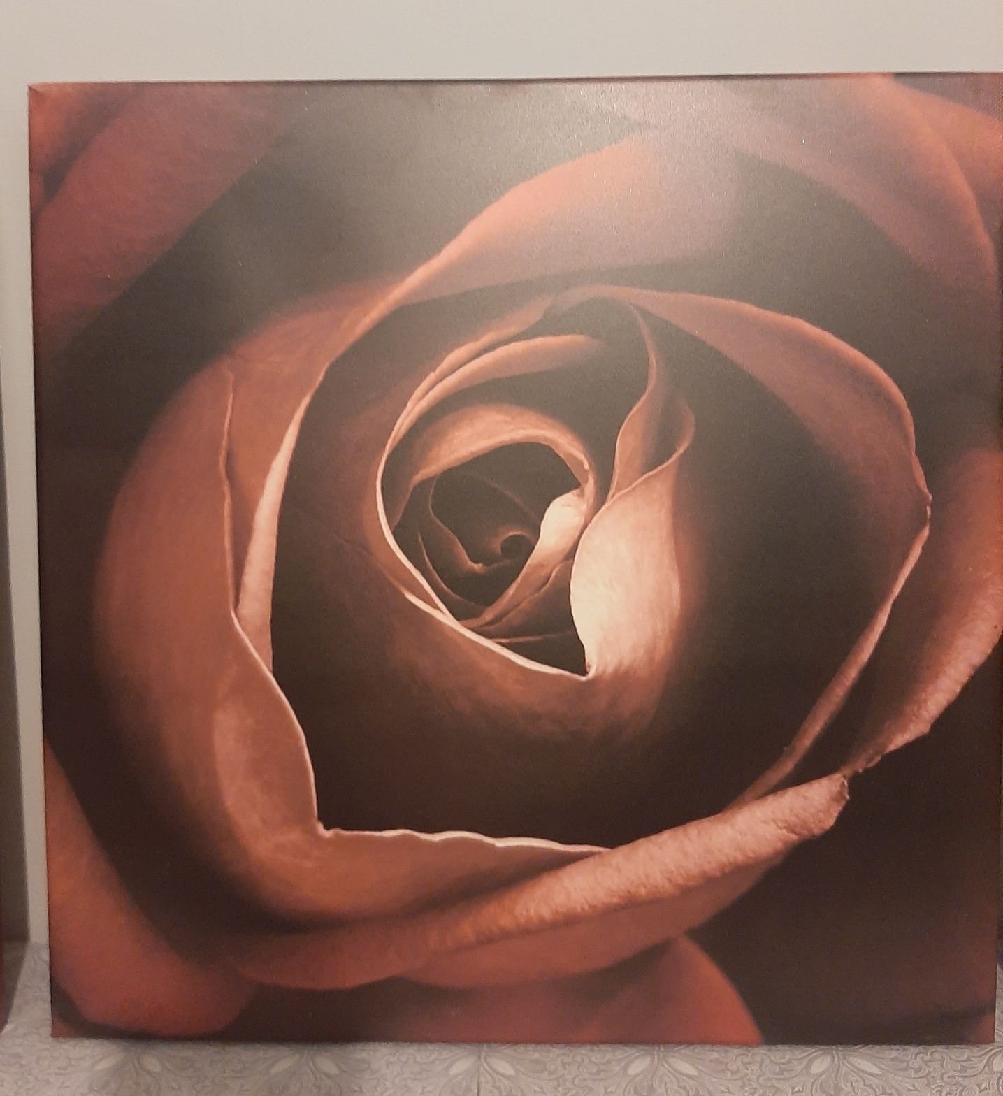 Obrazki tryptyk 120 x 40  3 szt.: 40x40 róża orchidea storczyk