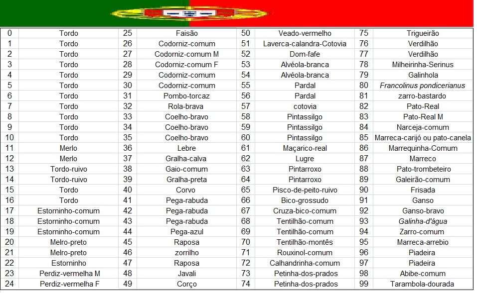 Chamariz Mundisound 100% novo com comando