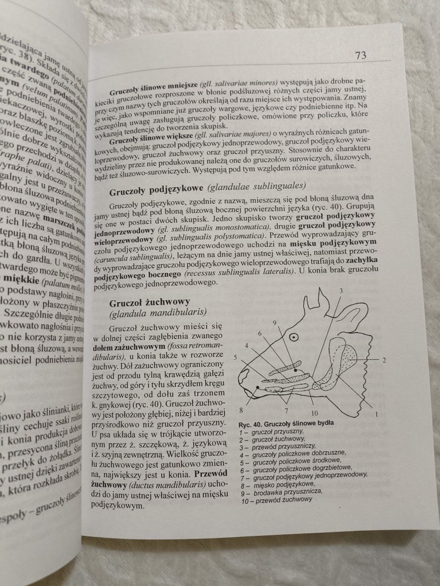 Podstawy anatomii zwierząt domowych