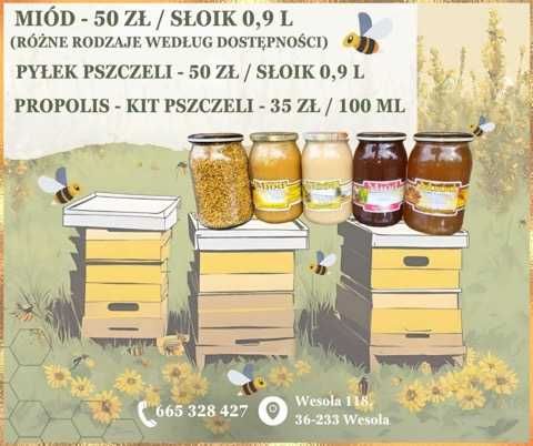 Ollej z Ostropestu 500ml tłoczony na zimno nierafinowany