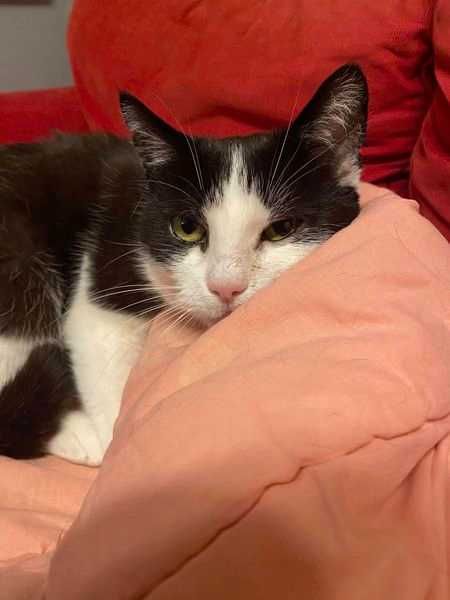 Cudowna Marylka szuka domku na zawsze