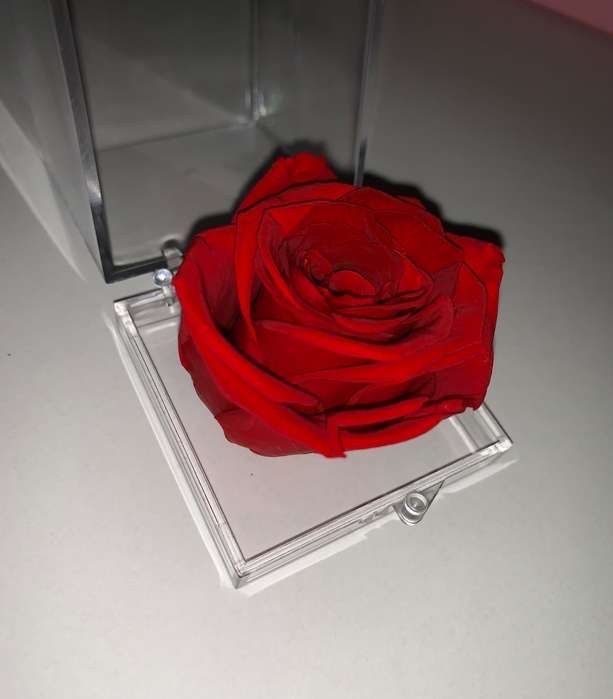 Роза в прозорій коробці