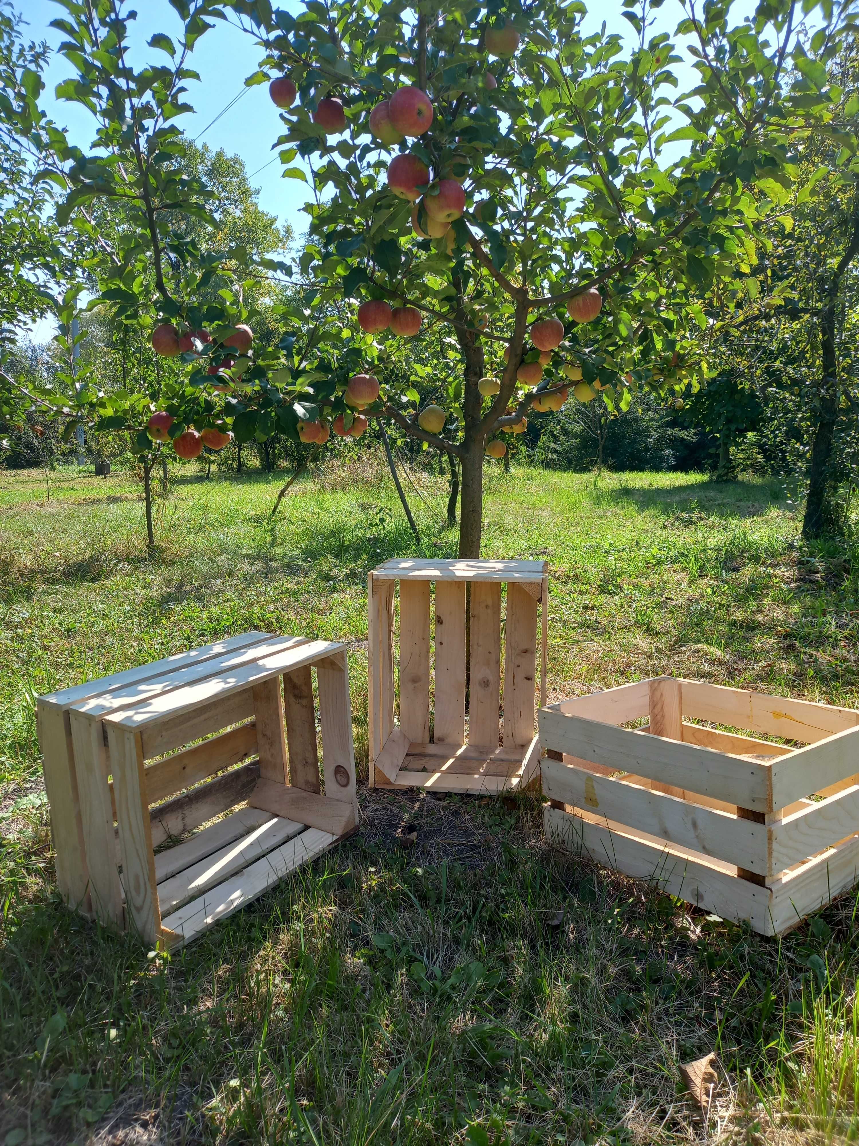 Ящик дерев'яний для яблук
