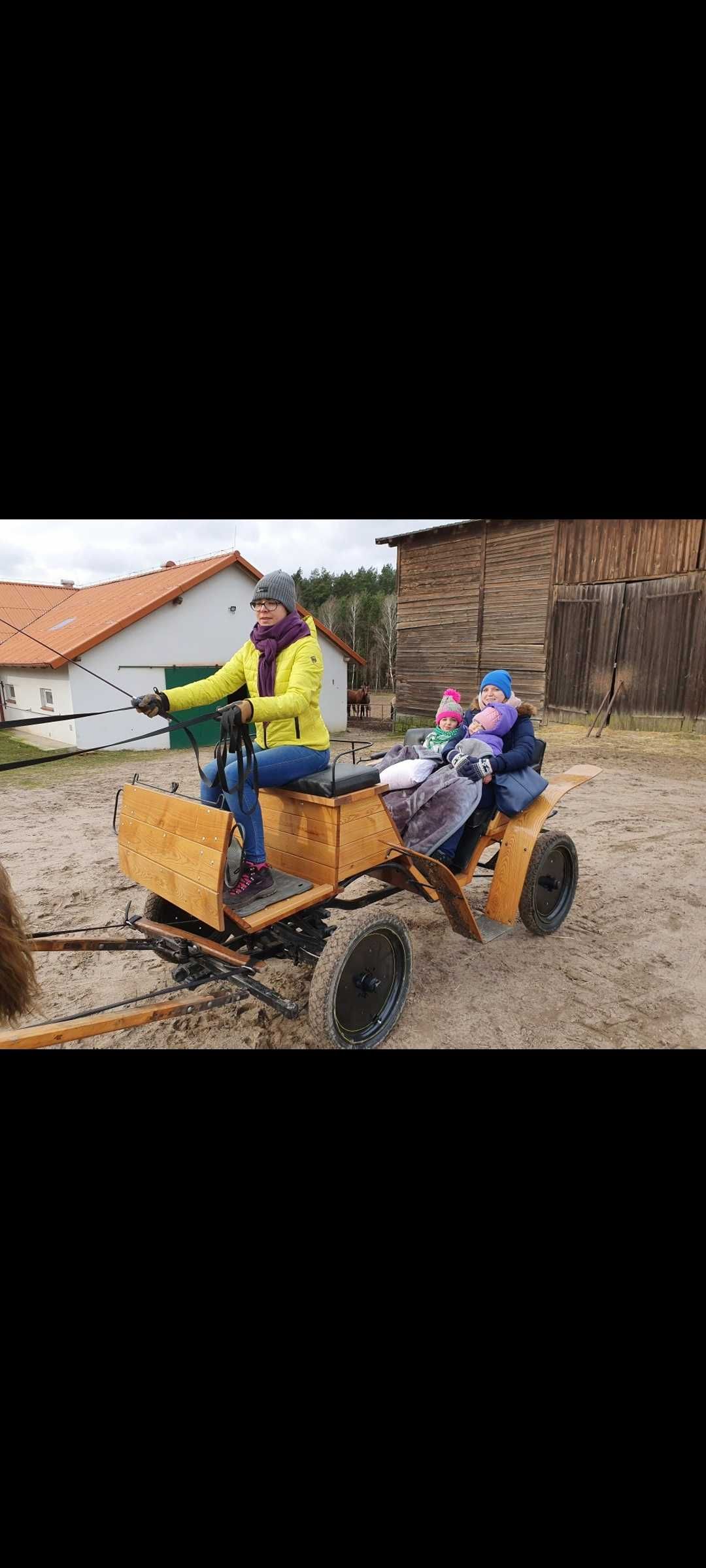 bryczka konna jesionowa, parokonna, wagonetka