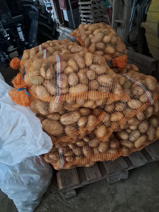 Ziemniaki  catania ,vinta, irga