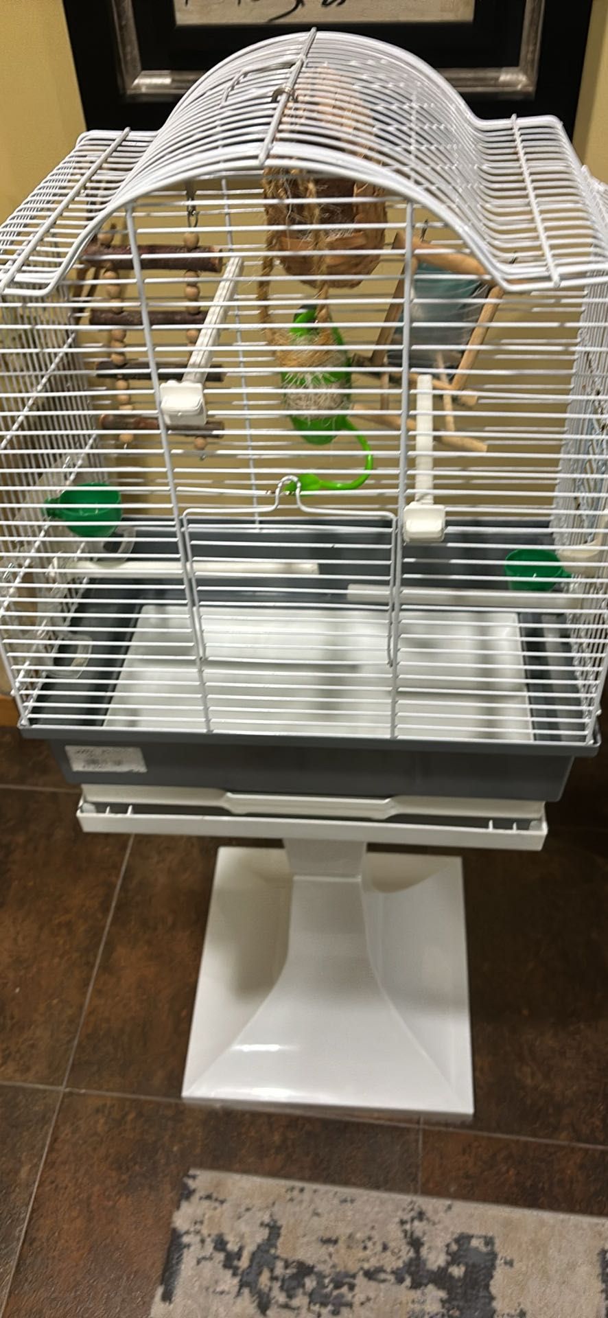 Gaiola NOVA para aves