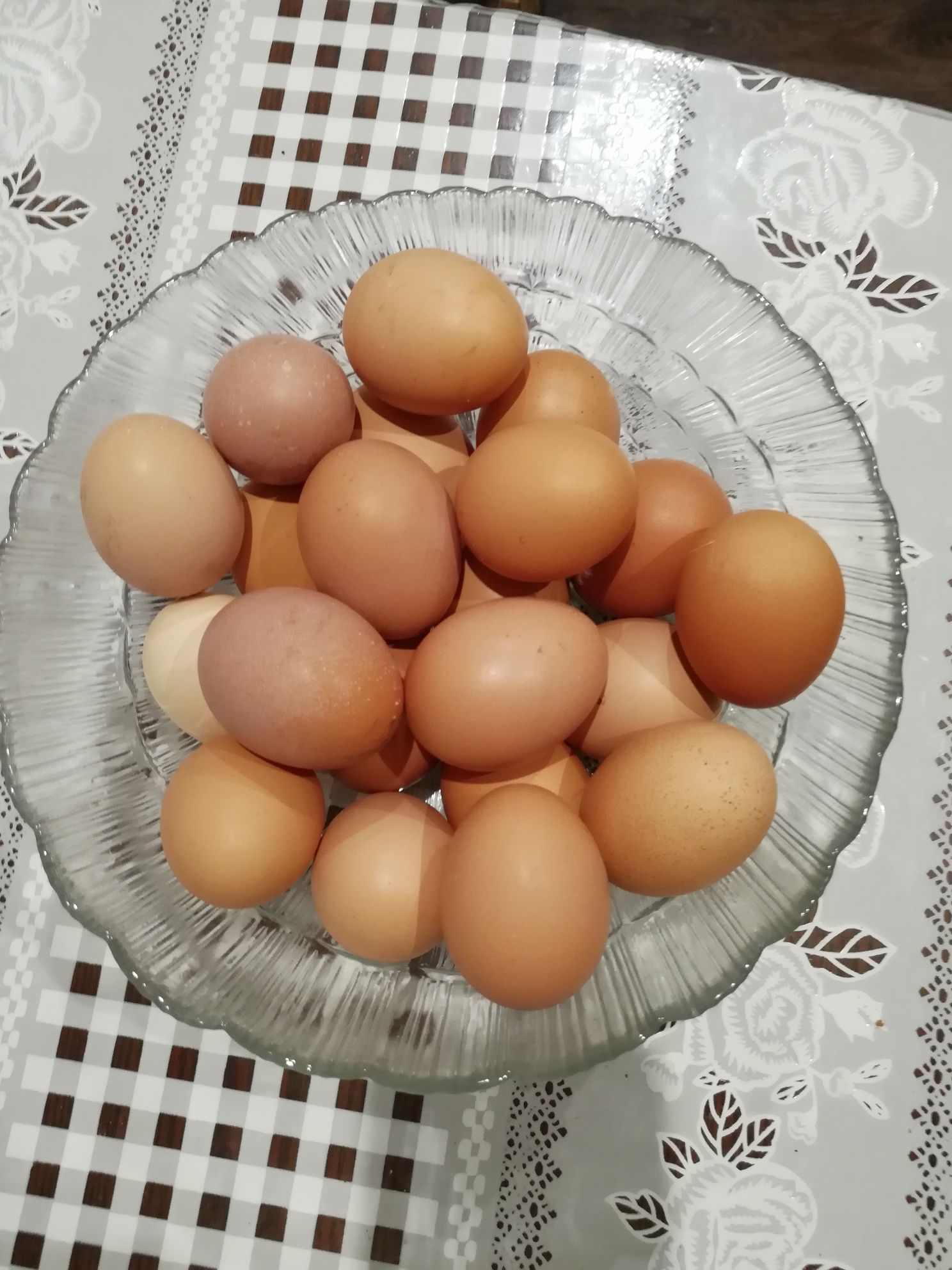 Домашнее свежее яйцо