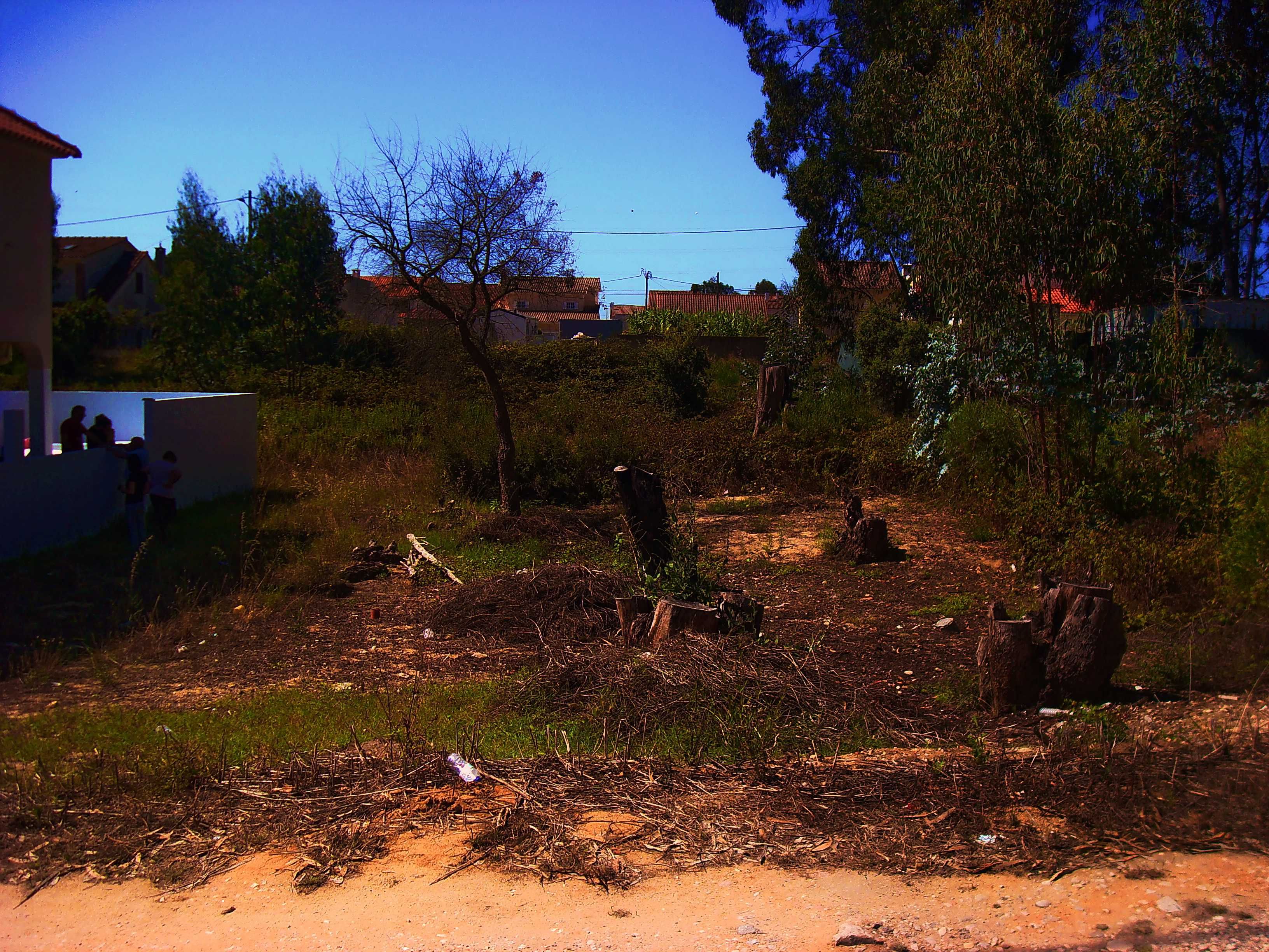 Oportunidade Única!
Terreno Exclusivo na Quinta da Aniza - Fase 3