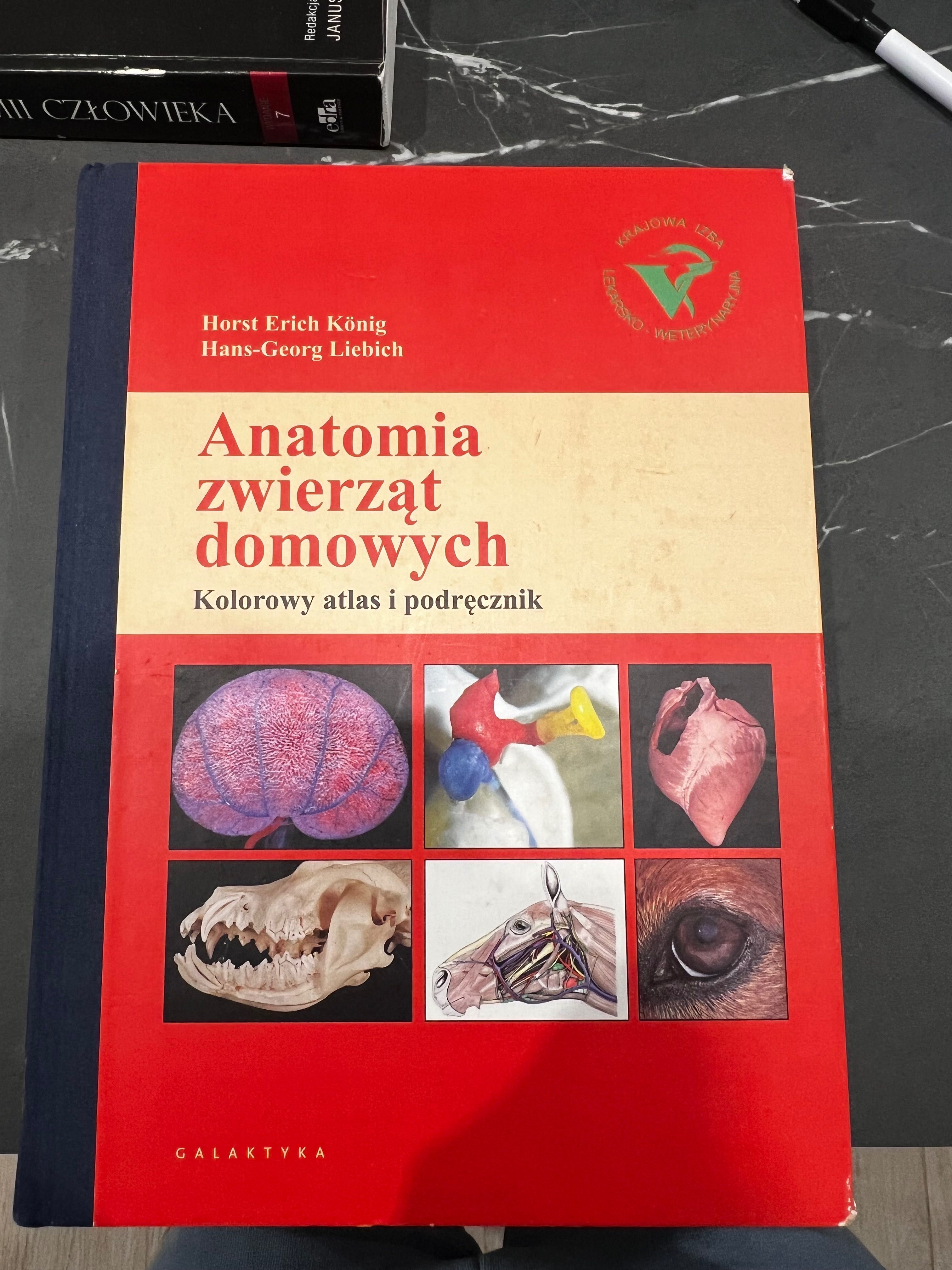 Książka anatomia zwierząt domowych