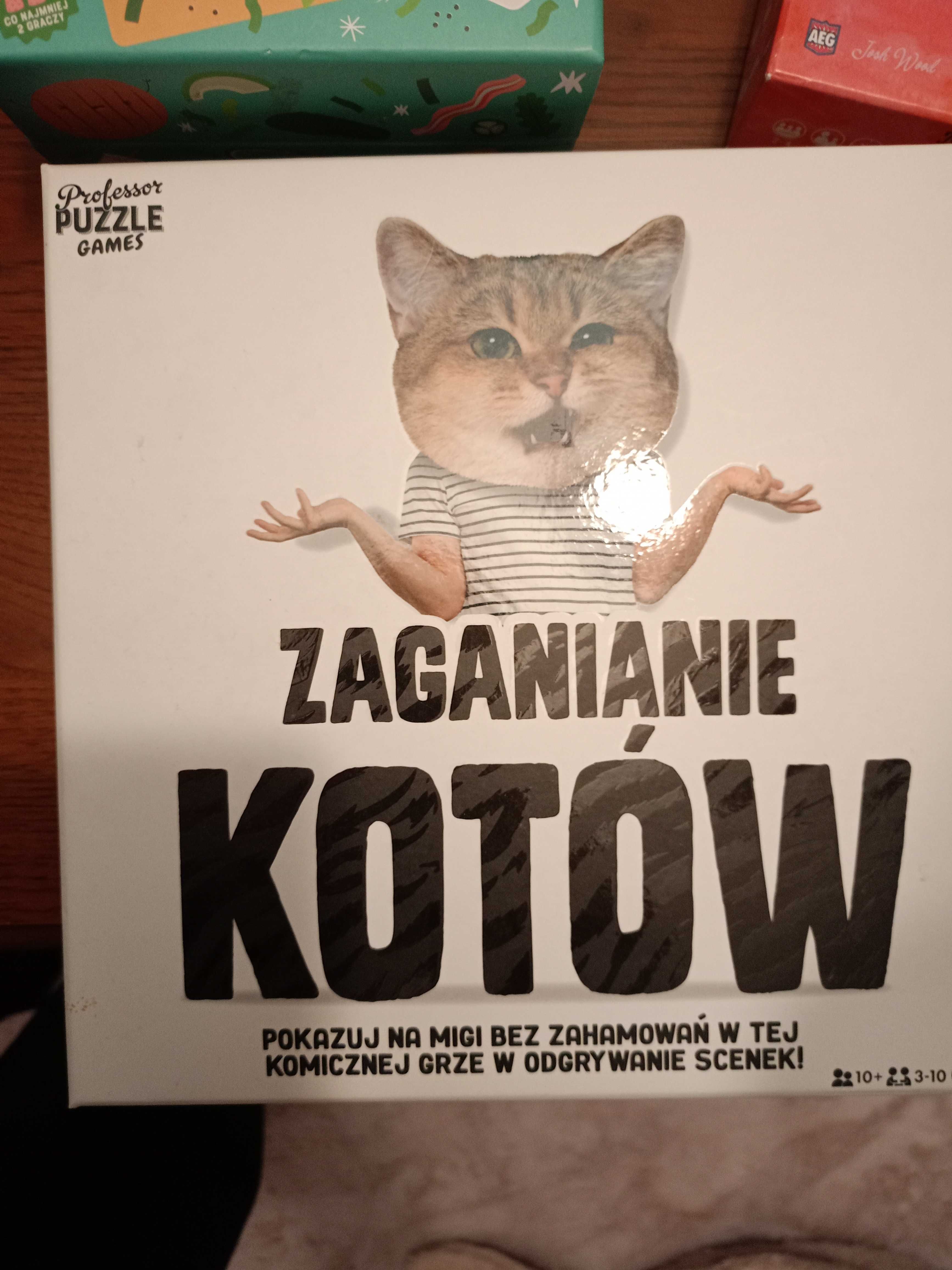 Gra planszowa Zaganianie kotów