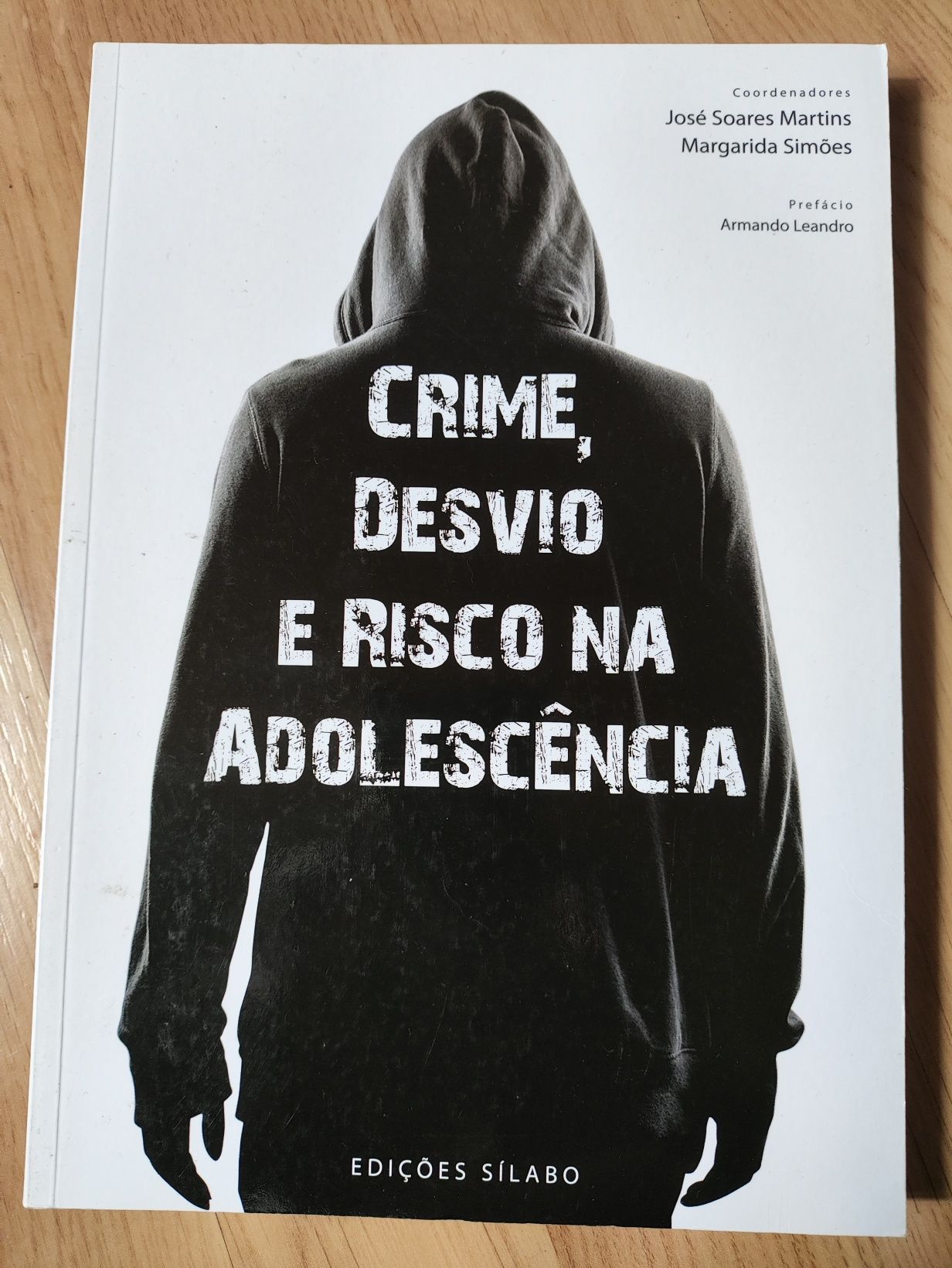 Livro - Crime, Desvio e Risco na Adolescência