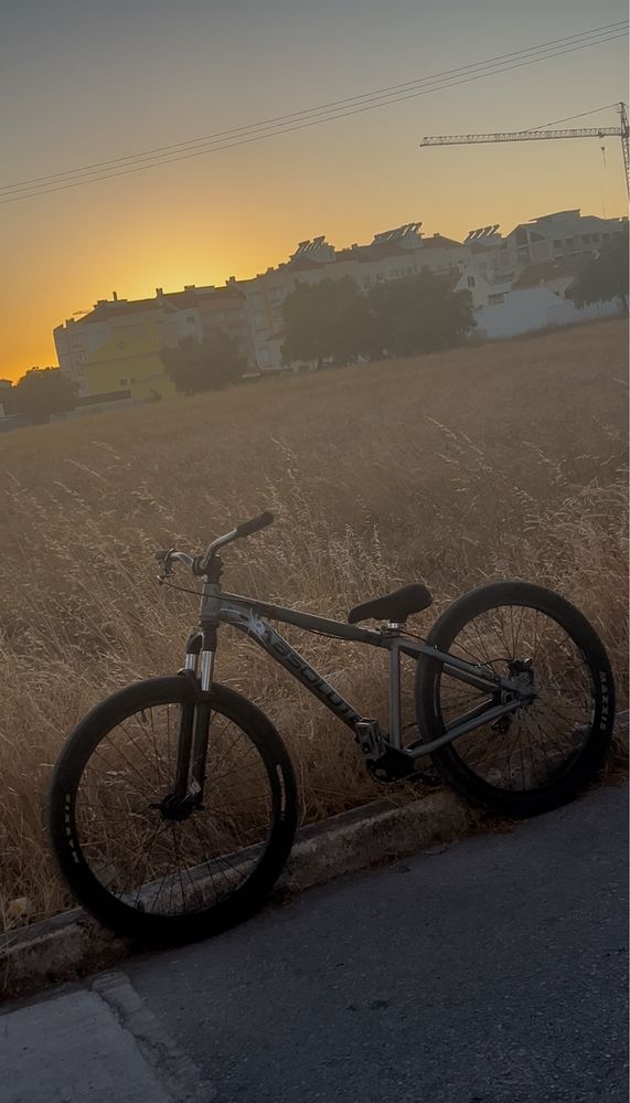 Bicicleta de grau