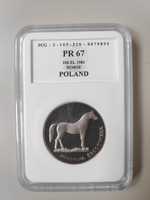 Moneta 100 złotych - Ochrona środowiska - Koń