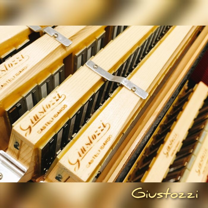 Acordeão/acordeon Giustozzi 96 Baixos de 2023.