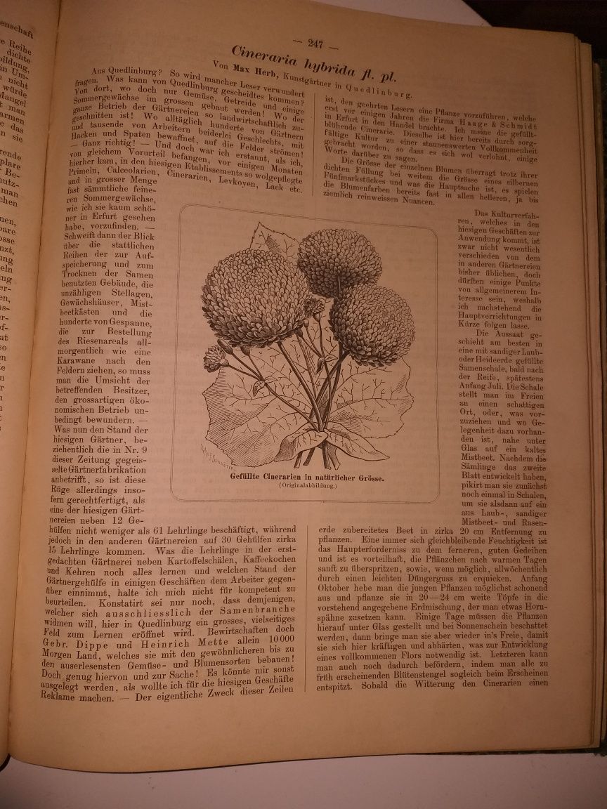 Bardzo duża stara kolekcjonerska książka-ogrodnictwo