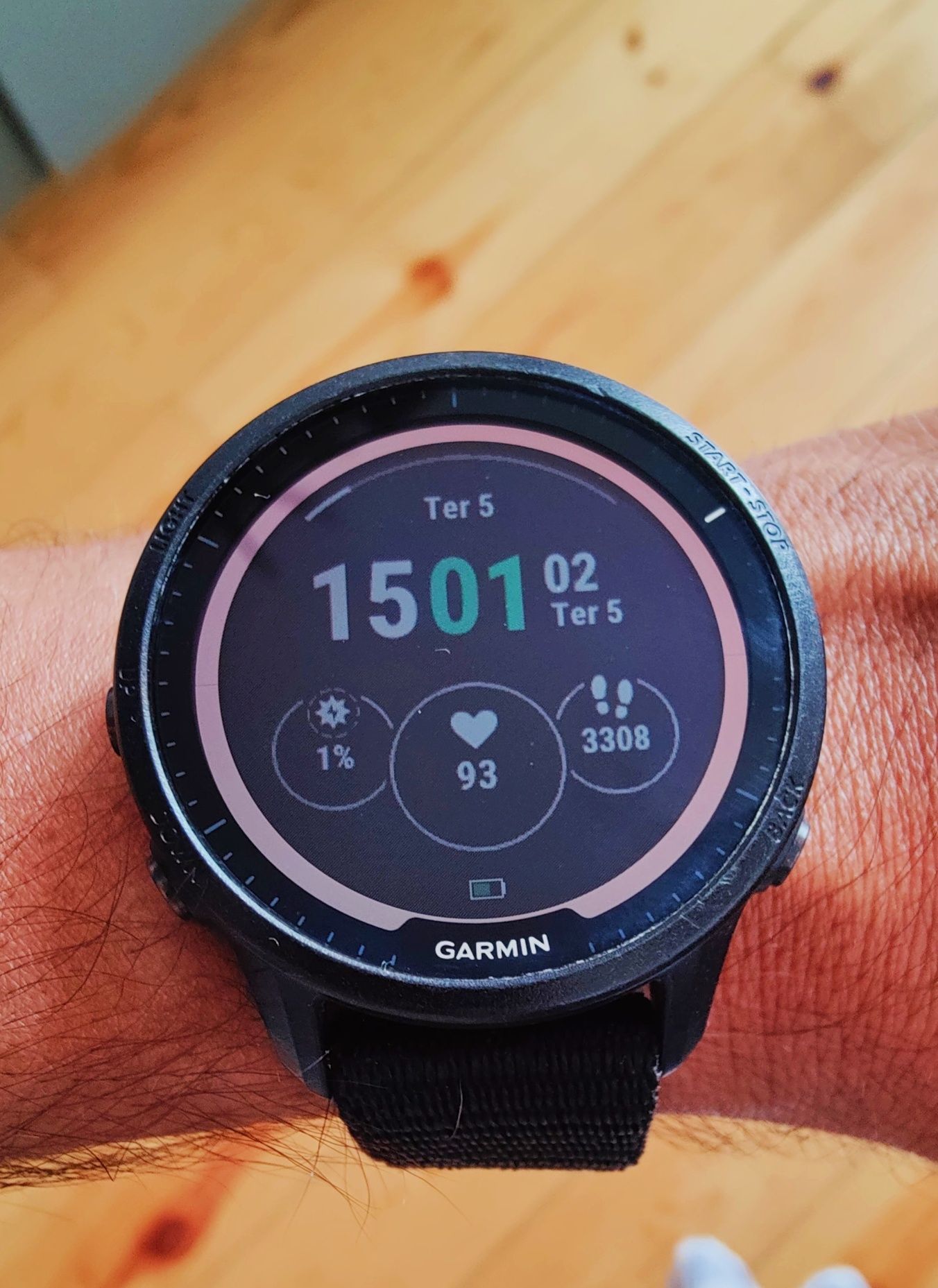 Garmin forerunner 955 solar