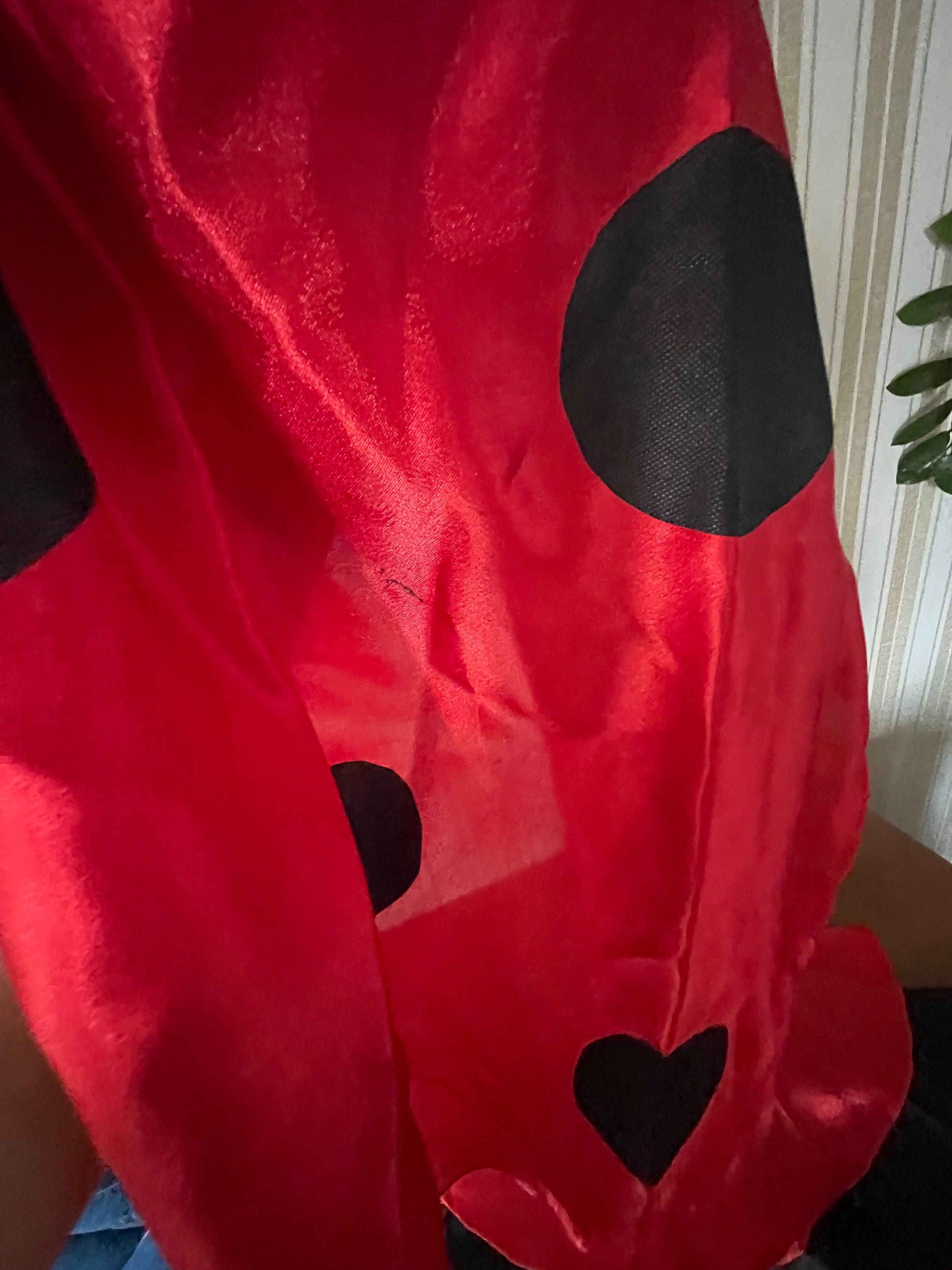 Карнавальний костюм жучка Сонечка, Lady Bug