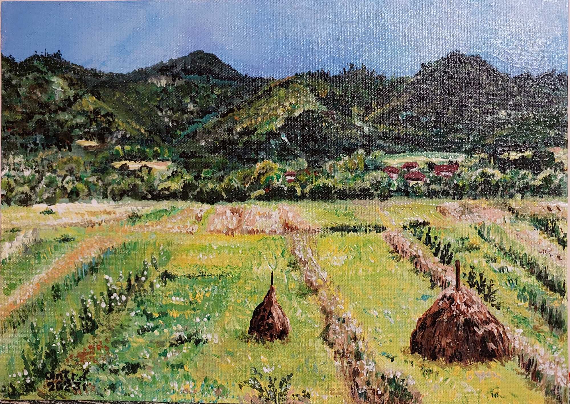 Картина "Карпати і фермерство" 25 см x 35 см