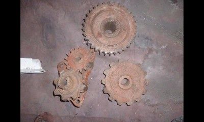 Борона зубова маленька райборінка