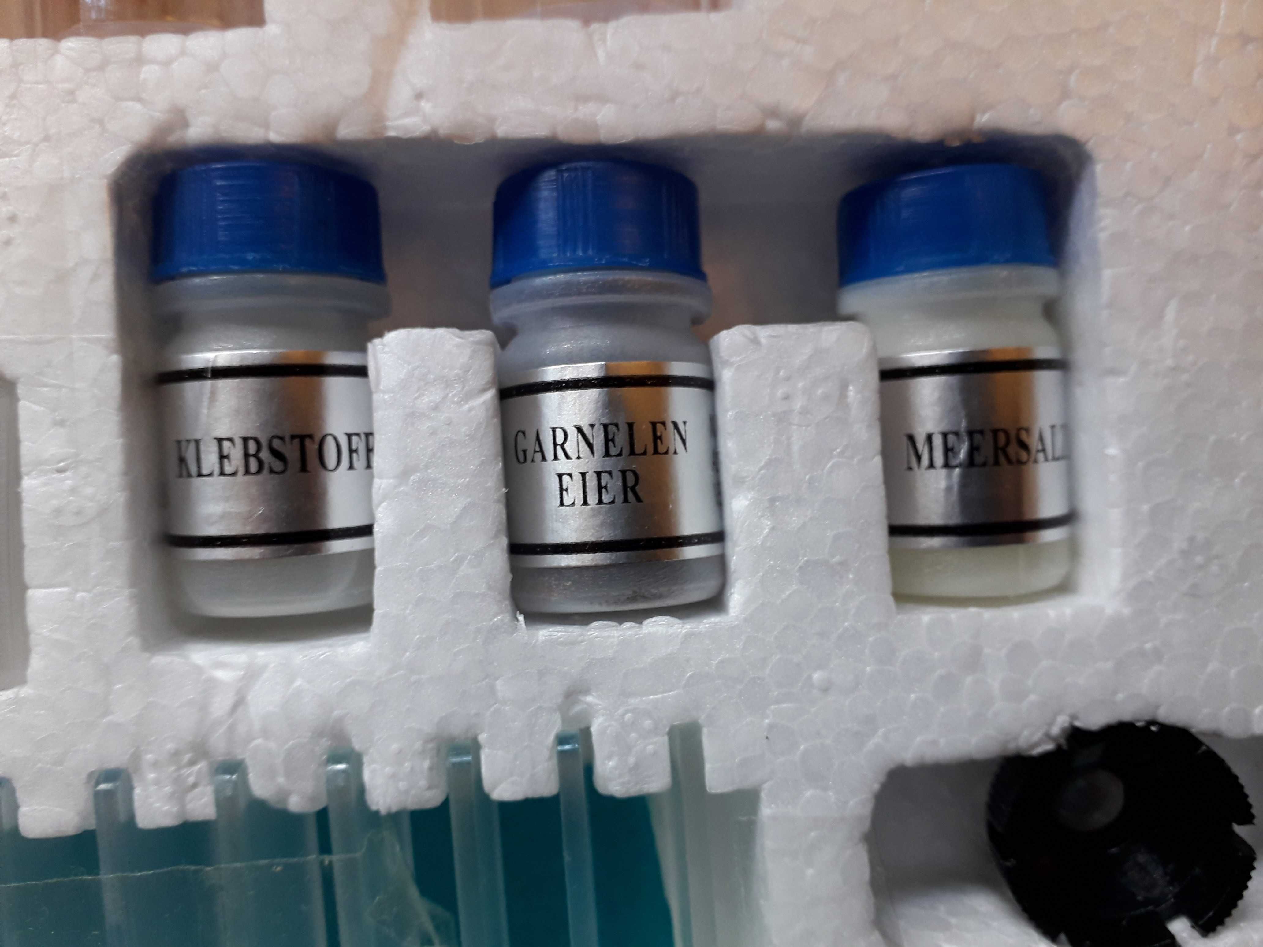 mikroskop z ekranem i projektorem