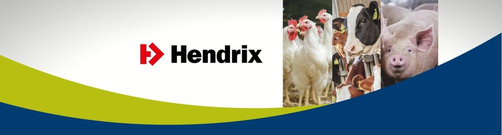 Продаж БМВД та Премікси  ТМ "HENDRIX"